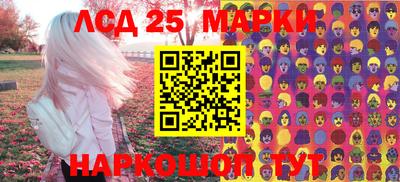 шишки Нарткала