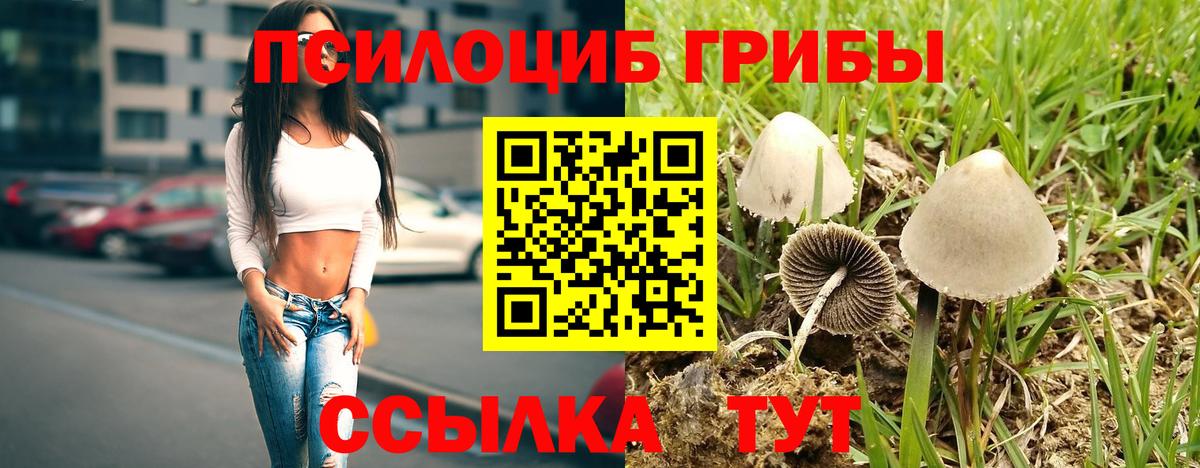 Видное  Галлюциногенные грибы ЛСД  Вход с VPN 
